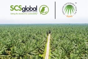 SCS Global Services Becomes First North American Certifier Accredited to New RSPO Principles and Criteria Standard for Palm Oil Plantations Image