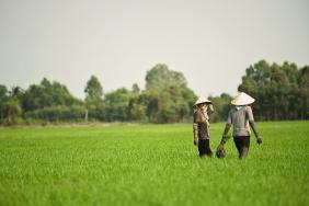 Olam Urges International Brands to Adopt New Rice Eco-label to Allow Consumers to Support Farmers and Promote Sustainable Rice Production  Image