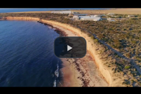 Clean Seas Seafood Achieves ASC Certification Image