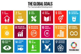 UN Adopts Sustainable Development Goals Image.