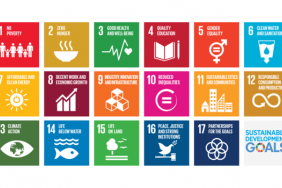 Catalyzing Action on the SDGs Through Collaboration Image