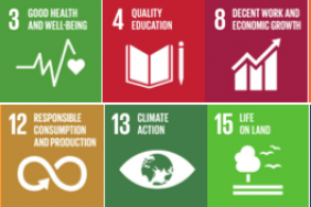 Globe to Focus on 9 UN Sustainable Development Goals to Help Build a #WonderfulPH Image.