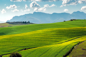 Land Betterment Corporation Begins Crowdfunding Round to Raise Funds for Sustainable Businesses Image.