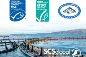 SCS Global Services Announces New Leadership Team for Sustainable Seafood Certifications Image