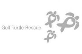 Endangered Sea Turtle Nests to Receive Special Transportation Image.