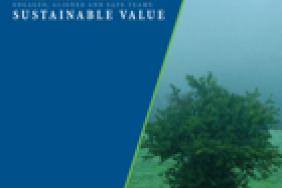 NiSource Issues 2010 Sustainability Report Image.