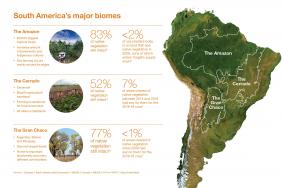 Cargill Highlights Progress Protecting South American Forests   Image