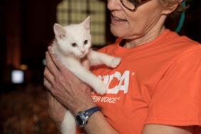 ASPCA Hosts "Cat Friday" Fee-Waived Adoption Event as Part of the Subaru Share the Love Event Image.