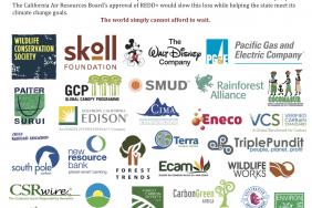 Key Global Stakeholders Sign Letters of Support for REDD+ in California's Climate Policy Image.