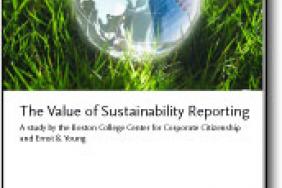 Survey of Corporate Professionals Identifies Motivations and Benefits of Sustainability Reporting Image.