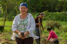 Thrive Natural Care Achieves ‘Beyond Sustainable’ Milestone in Costa Rica  Image.