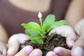 Ecology and Environment, Inc. Launches ProjectEarth.net Environmental Forum Globally, Announces World Environment Day Contest Winner Image.