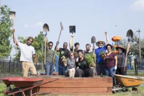 Whole Cities Foundation Awards 60 Community First Grants to Help Grow Local Food Systems Image.