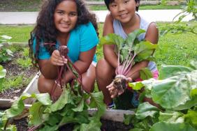 Whole Kids Foundation Raises $5.6 Million to Improve Children’s Nutrition Image.