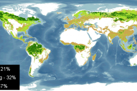 Timberland Harvests - Sustainable in more ways than one Image.