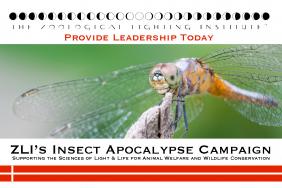 Light Pollution Is Driving the Insect Apocalypse: A New Study and Concern Image.