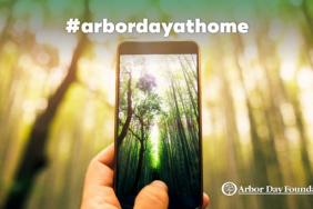 Arbor Day Foundation Launches Campaign to Celebrate Arbor Day at Home Image.