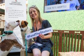 Clear The Shelters Campaign Results In Over 135,000 Pet Adoptions "“ And Counting Image.