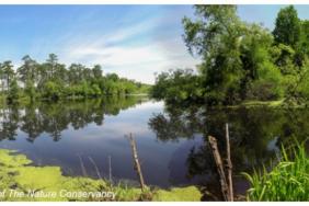 International Paper Joins Savannah River Clean Water Fund Image.