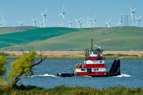 Working With Nature: Improving Ecosystems and Business Costs Image.