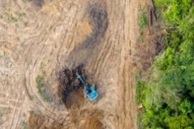 230 Investors With USD $16.2 Trillion in AUM Call for Corporate Action on Deforestation, Signaling Support for the Amazon Image.