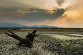 We Cannot Afford to Wait: Adapting to the Effects of Climate Change Image.