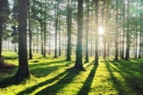Duke Energy Awards More than $253,000 in Environmental Grants to Support Projects in Greater Cincinnati Image.