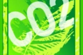 EuroCharity's portals become CO2 neutral Image.