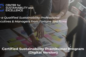 Practical Sustainability (ESG) Strategies Image