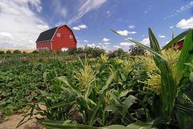 New Living Expo Partners With Sustainability Experts Image.