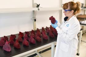 HP Collaborates With Amy Karle, Leading 3D Printing Artist and Futurist Image.