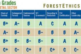 4th Annual Green Grades Report Card Finds FedEx, Staples and Office Depot Leading and Amazon and Costco Lagging on Key Eco-Issues Image.