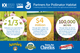 General Mills, NRCS and the Xerces Society Announce Multi-Year, $4 Million Investment in Pollinator Habitat Image.
