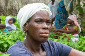 Going Beyond 'Fair Trade' With Hershey's Sustainable Cocoa Strategy Image.