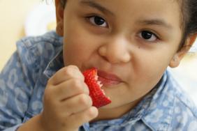 GrowingGreat Offers Hands-On Nutrition & STEM Activities That Can Be Done at Home for Free! Image.