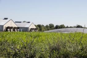 Smithfield Foods and RAE Partner to Produce Renewable Energy while Restoring Missouri’s Natural Environment Image.