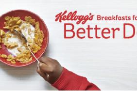 Kellogg Partners for Progress  Image.