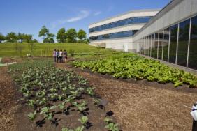 Kraft Foods Fights Hunger...Literally in its Own Backyard Image.