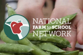 The Scotts Miracle-Gro Foundation, Hawthorne Gardening Company and National Farm to School Network Launch New Hydroponic School Garden Project Image