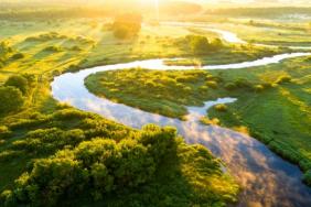 CDP Recognizes Comprehensive Sustainability Program at NRG Image.
