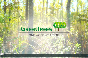 Largest US Reforestation Carbon Credit Issuance Image