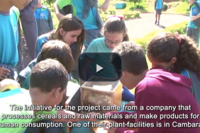 General Mills Brings Pollinator Conservation, Education to Brazil Image.