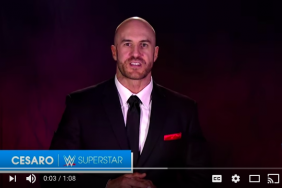 WWE and The Cybersmile Foundation Announce Partnership to Promote Diversity and Inclusion Online Image.