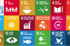 Winners of the 2nd Annual Sustainable Development Goals (SDGs) Awards Announced!  Image