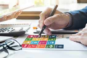 Coca-Cola & PGGM: Reporting on the SDGs Image.