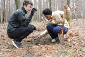  Wilsonart and Interlochen Center for the Arts Celebrate the Transformation of  The Riley Woods Forest through Art, Song, Dance and Planting Hundreds of Trees Image.