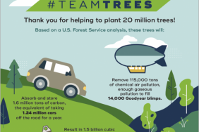 Arbor Day Foundation Announces Initial Planting Locations for 20 Million #TeamTrees Trees Image.