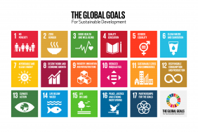 Global Goals Week: Reflections on Making Positive Change in 2020, and Always Image.