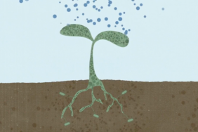 Regenerative Agriculture Is a Hopeful Solution to Climate Change Image