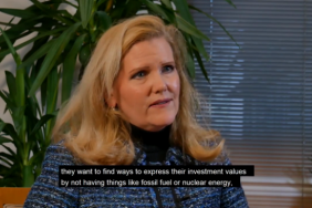 3-minute CEO, Marie Dzanis Image
